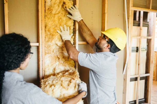 Best Wall Insulation Contractor  in North Tustin, CA